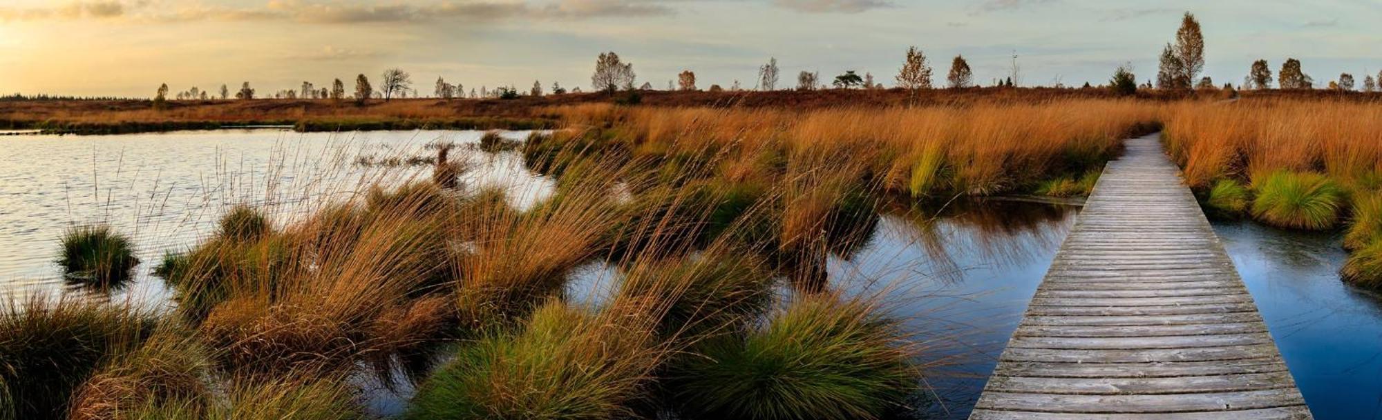 Holiday Inn Express Pascagoula-Moss Point By Ihg Buitenkant foto